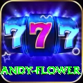 andy flower - Slots VIP