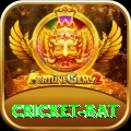 cricket bat Bonus Elite v4.3.7