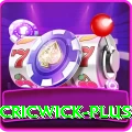 cricwick Deluxe New