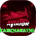 dimuth karunaratne Pro v4.0.3