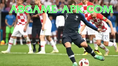 sports cricket Legend - Free Download Screenshot 4 - 6