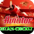 india pakistan cricket Master PK v1.2.7