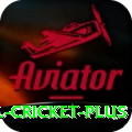international cricket VIP v5.4.9