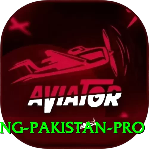 IPL Betting Pakistan Gaming Max - 2