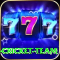 mumbai cricket team - VIP Prime