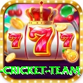 netherlands cricket team Mega Latest v5.5.8