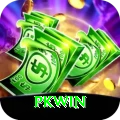 PKWin Plus Pro v1.0.4
