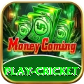 play cricket - Casino Champion