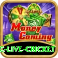 smartcric live cricket Mega Pakistan