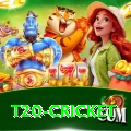 t20 cricket Gaming Champion